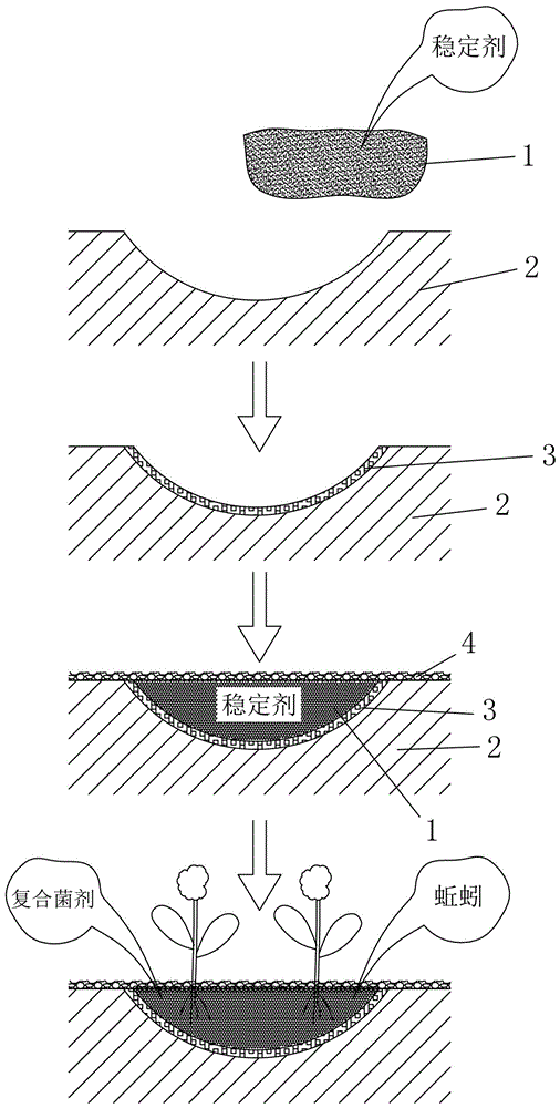 Safety plantation method for heavy-metal-polluted farmland