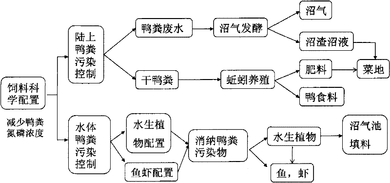 Scattered duck breeding pollution control and recycling method