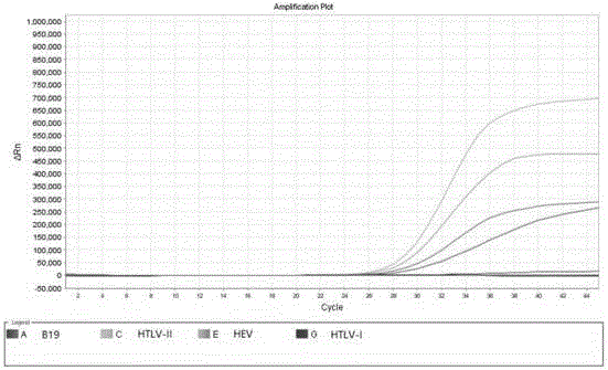 B19 (Human parvovirus B19), HTLV (Human T-cell lymphotropic virus) and HEV (Hepatitis E virus) quadruple fluorescent PCR (polymerase chain reaction) quick hypersensitivity detection kit and application thereof