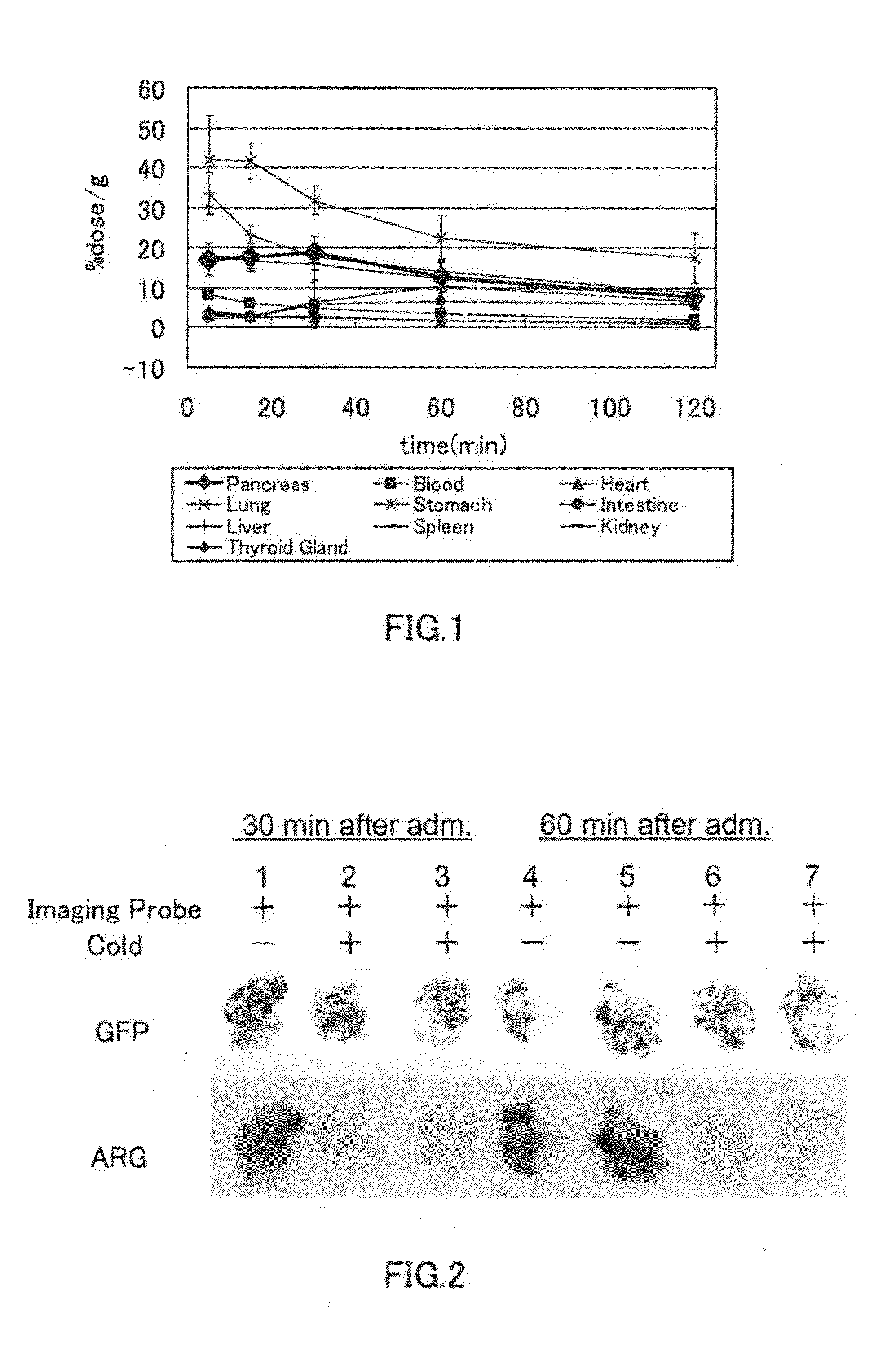 Method for Producing Radioactively Labeled Polypeptide