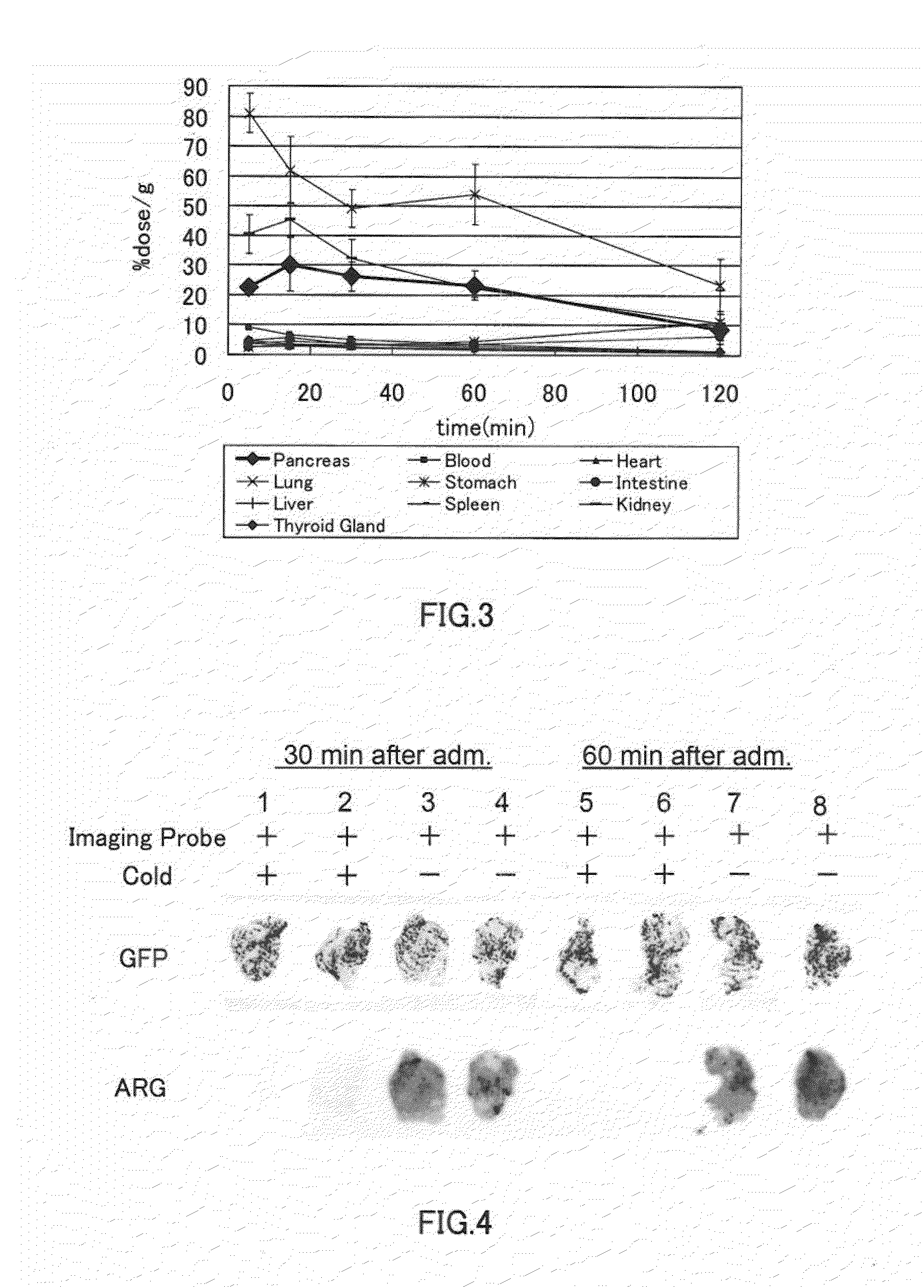 Method for Producing Radioactively Labeled Polypeptide