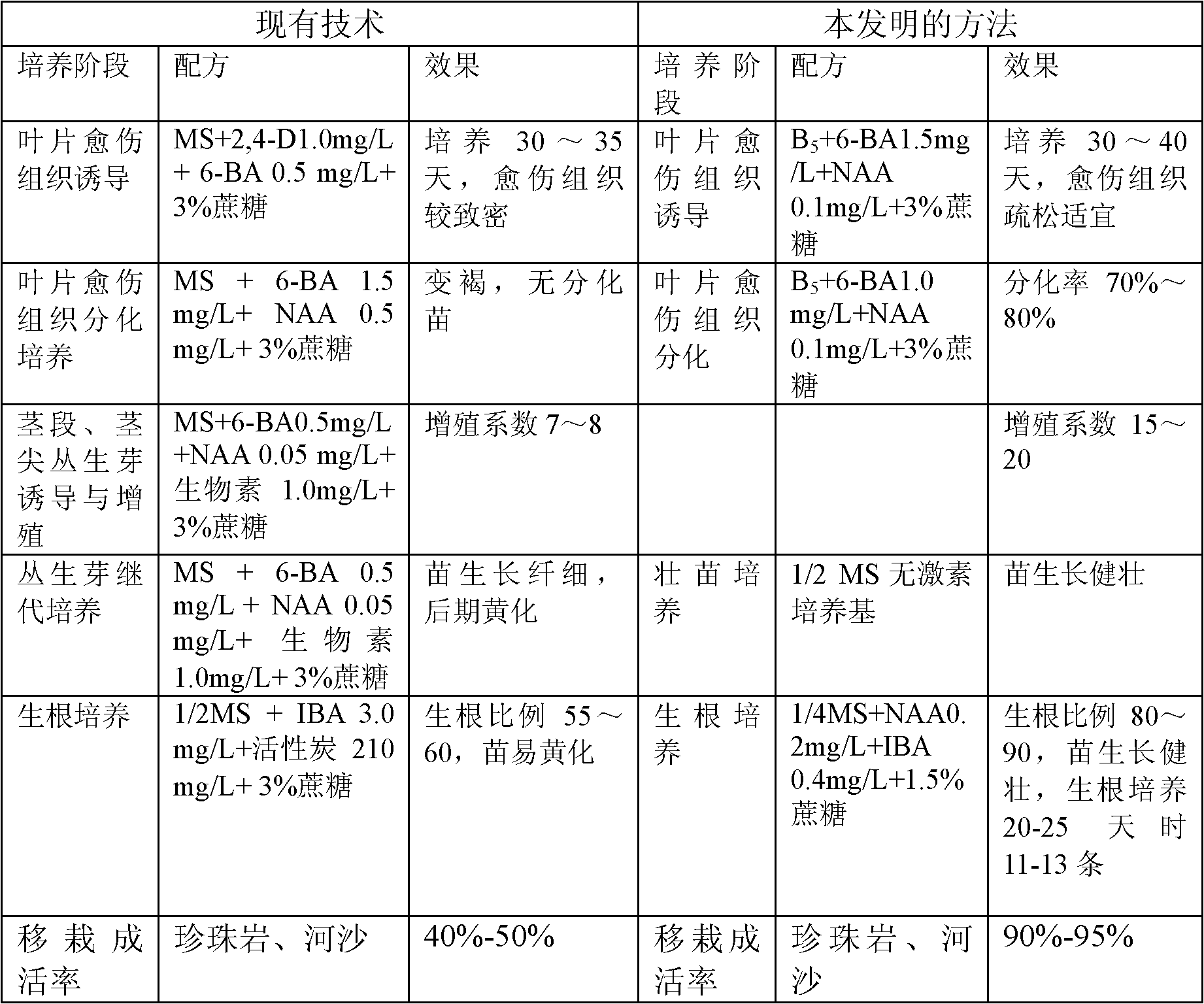 In-vitro culture and planting regeneration and propagation method of Xianglei honeysuckle leaves and culture medium