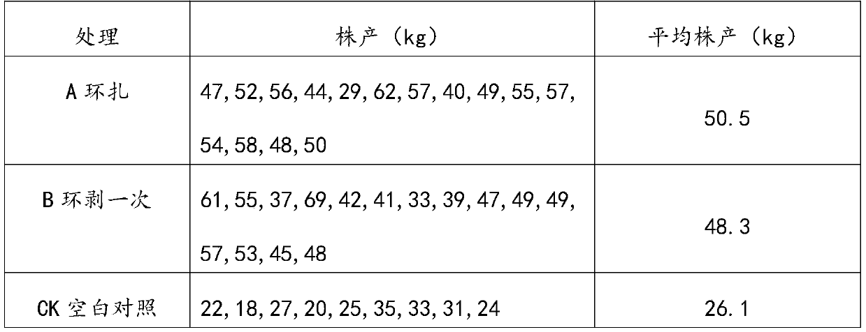 Method for improving yield of sugar orange