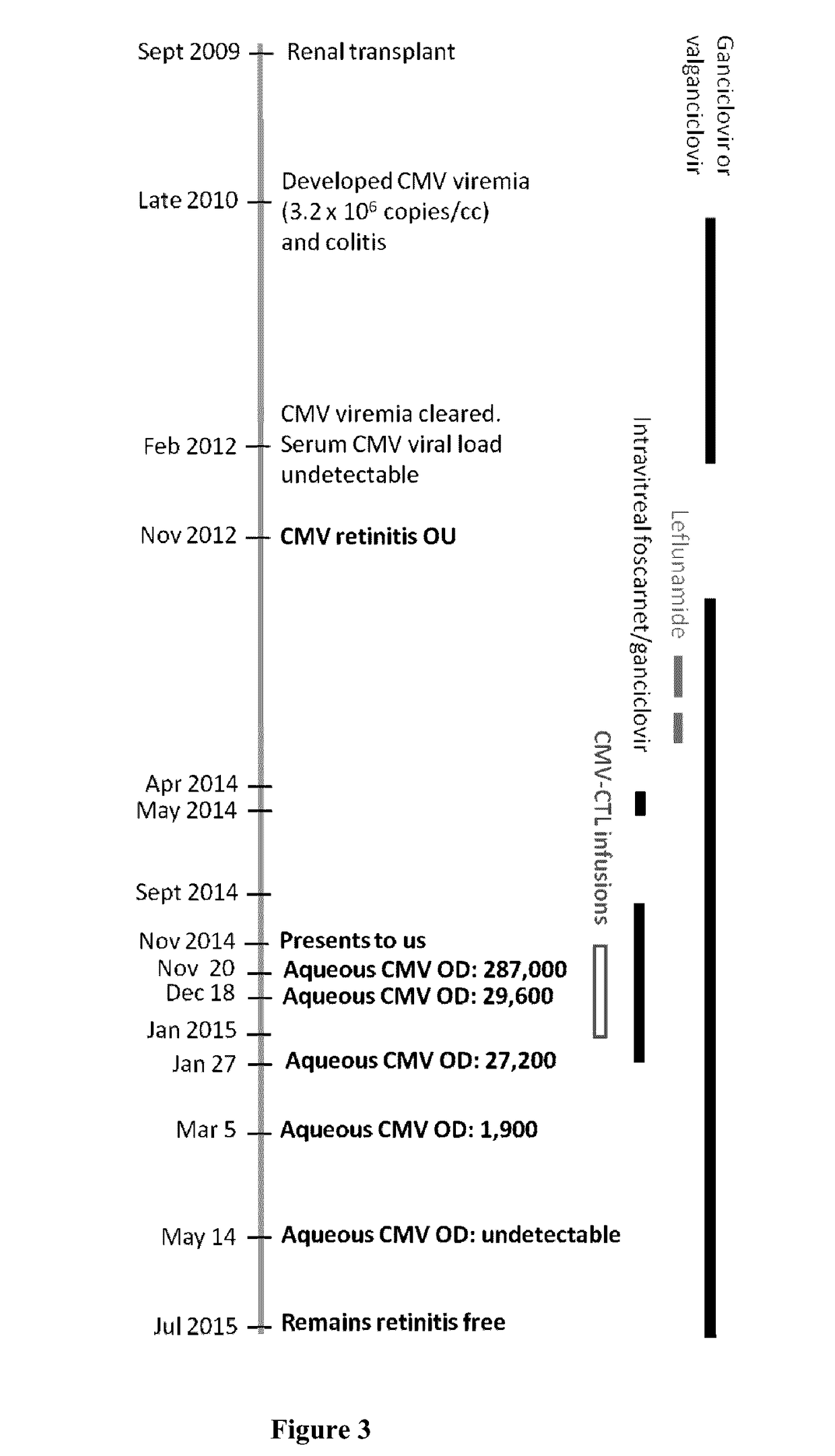 Methods of Treating CMV Retinitis by T Cell Therapy