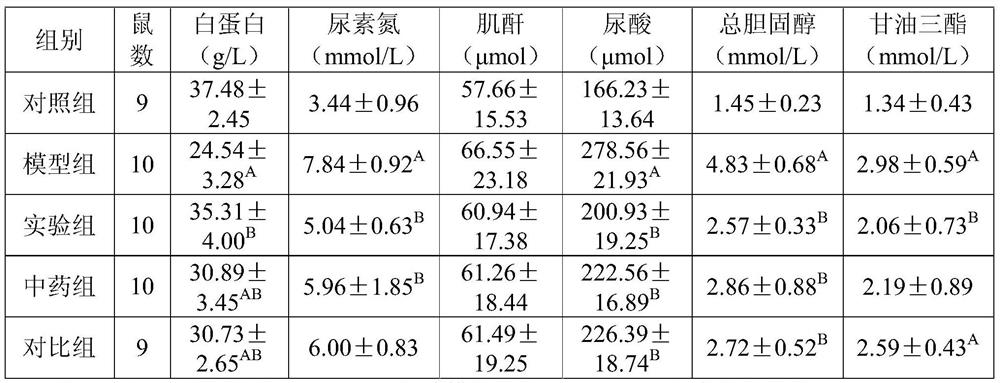 Plant fermentation broth and preparation method and application thereof