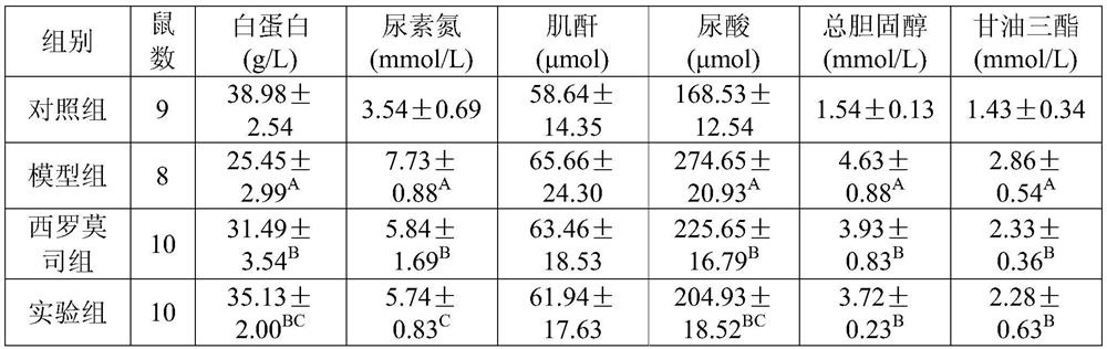 Plant fermentation broth and preparation method and application thereof