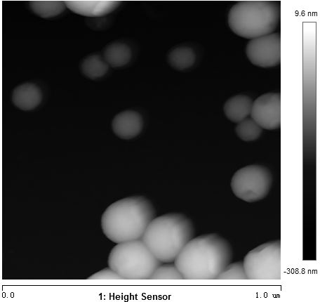 A preparation method of a dqa-encapsulated mesoporous silica-carried small-molecule drug targeting mitochondrial carrier