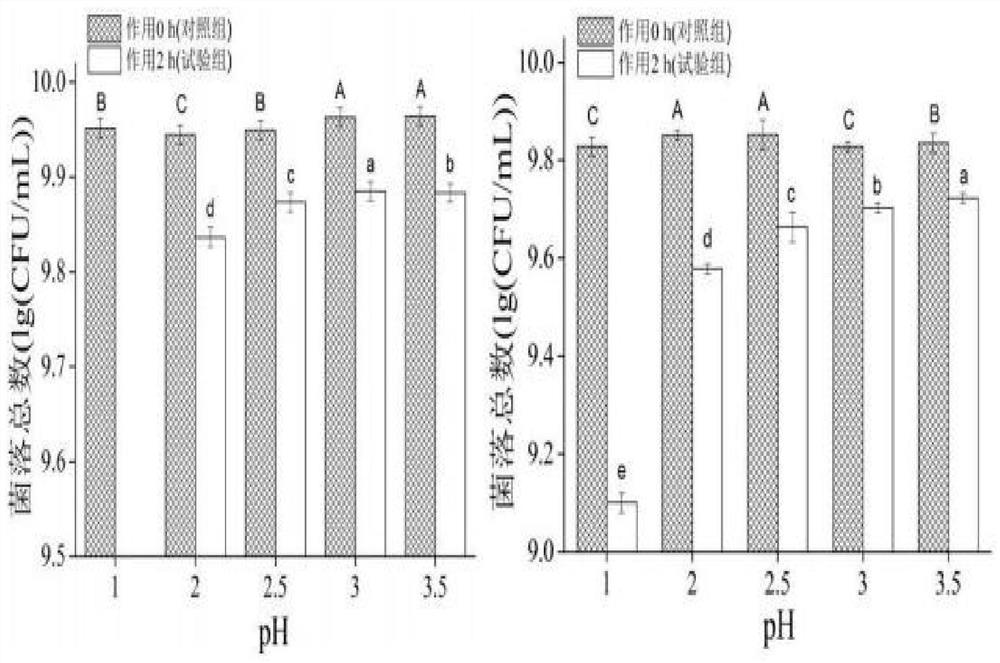 Lactobacillus paracasei SLP16 for producing polysaccharides, application of lactobacillus paracasei SLP16 and feed additive prepared from lactobacillus paracasei SLP16