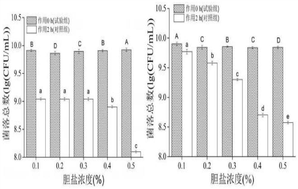 Lactobacillus paracasei SLP16 for producing polysaccharides, application of lactobacillus paracasei SLP16 and feed additive prepared from lactobacillus paracasei SLP16