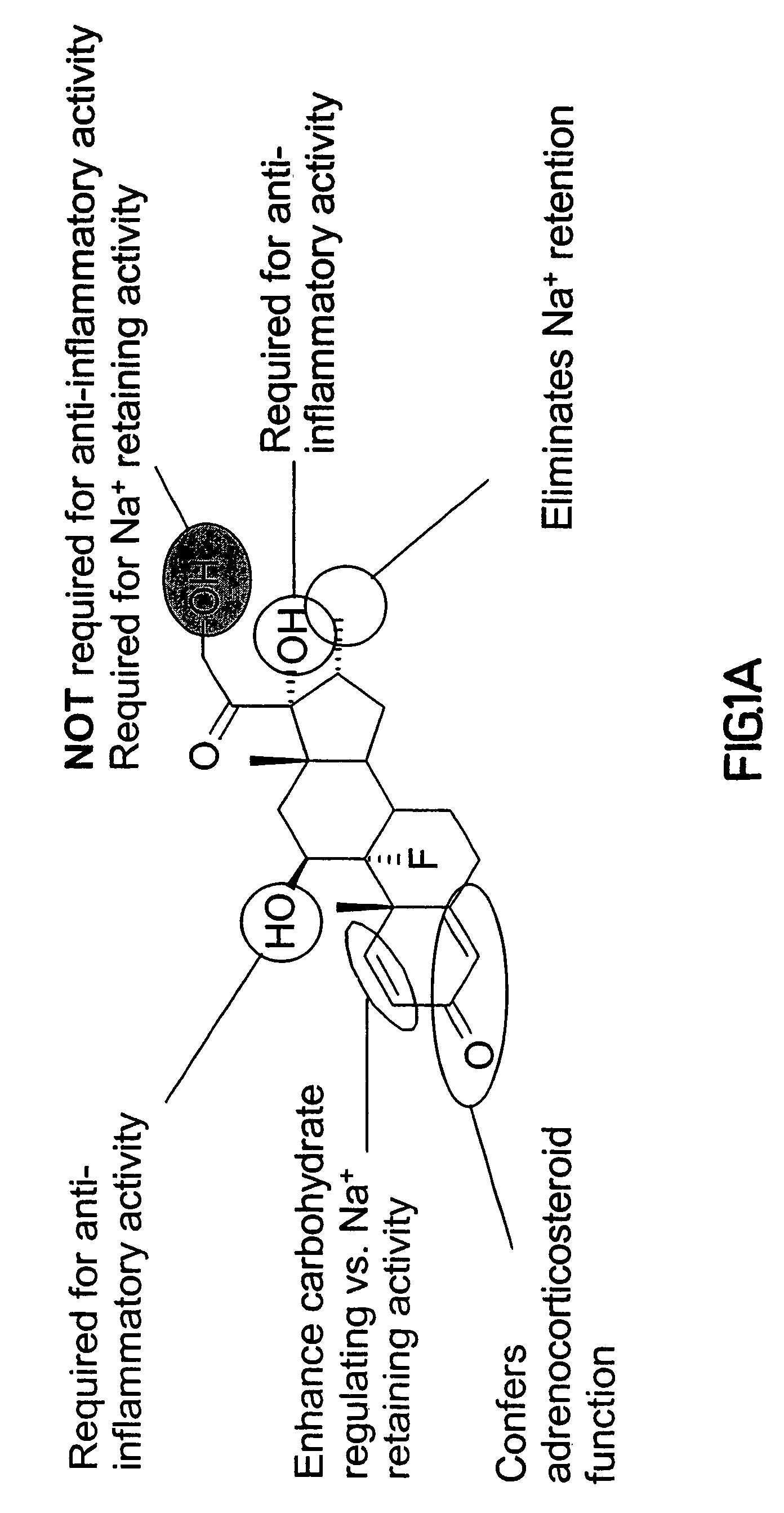 Synthesis and use of reagents for improved DNA lipofection and/or slow release prodrug and drug therapies