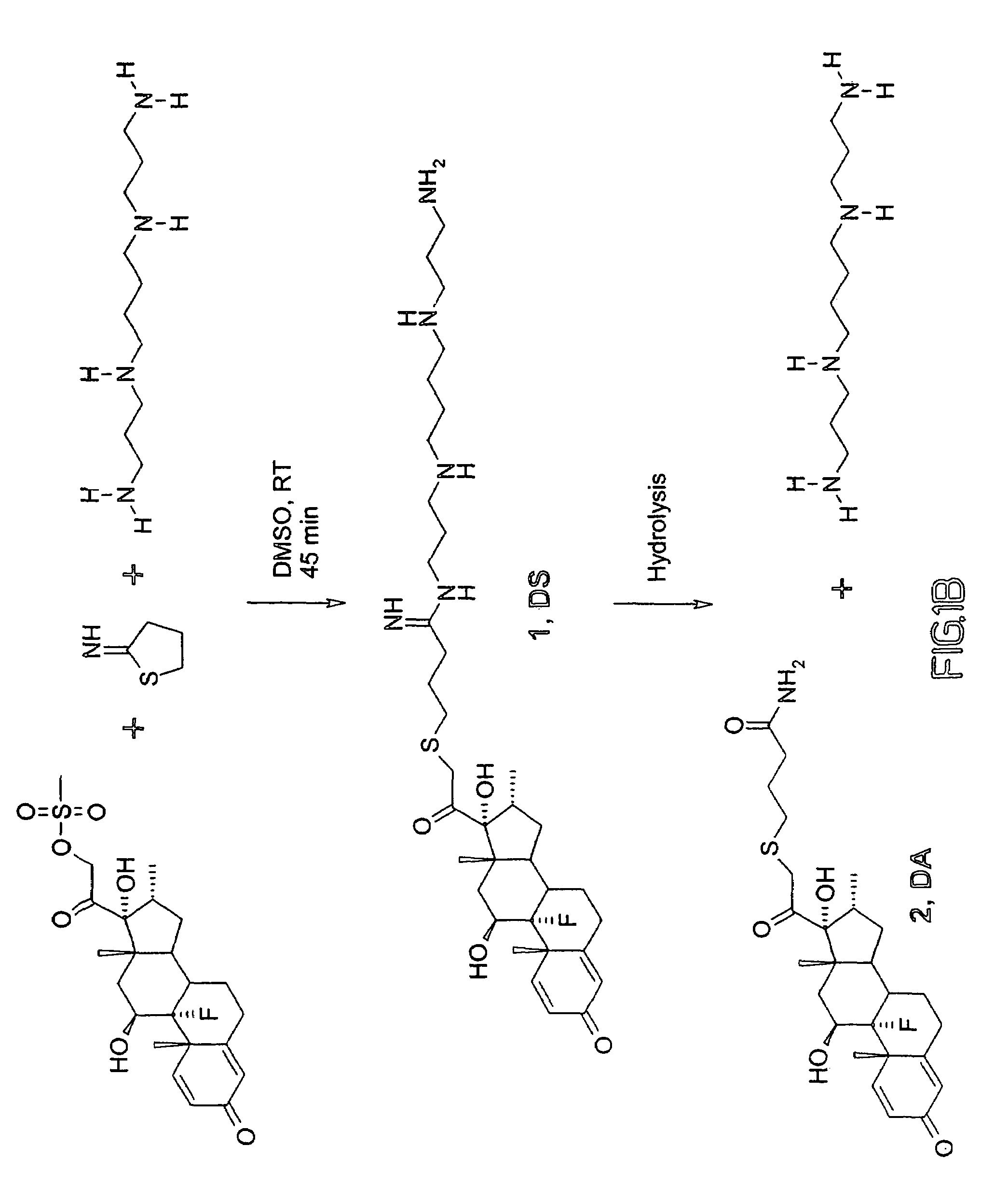 Synthesis and use of reagents for improved DNA lipofection and/or slow release prodrug and drug therapies