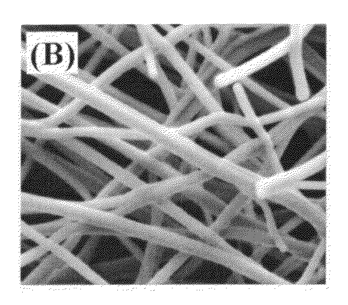 Method of surface treatment of aluminum foil and its alloy and method of producing immobilized nanocatalyst of transition metal oxides and their alloys