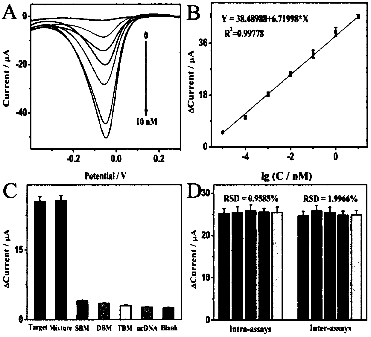 Preparation method of electrochemical DNA biosensor for detection of rs1801177