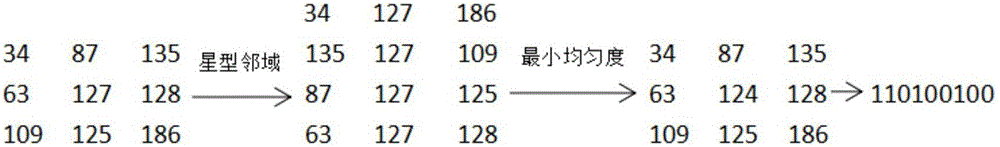 Stereoscopic matching method on basis of variable-weight cost computation and S-census transformation