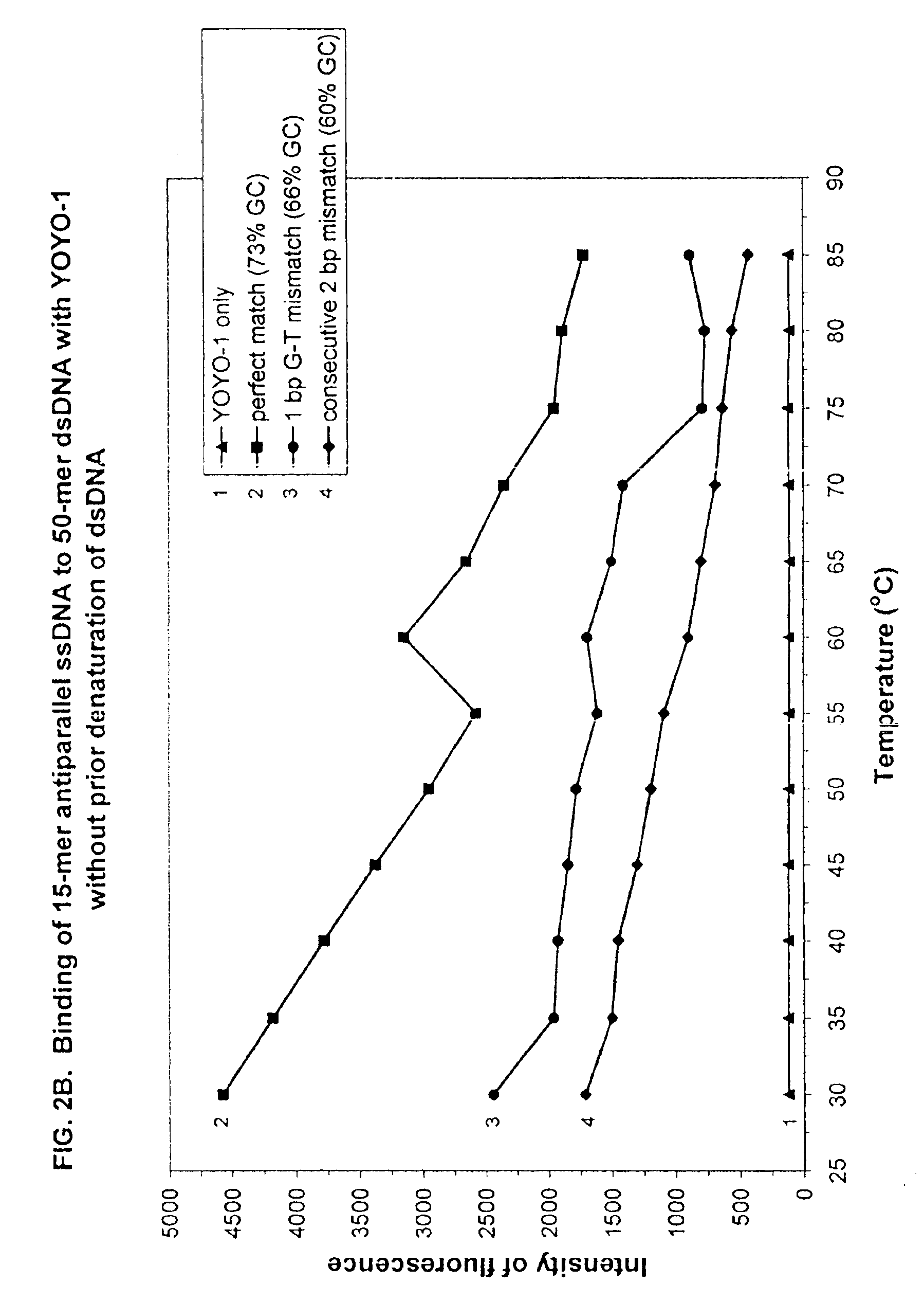 Nucleic acid multiplex formation