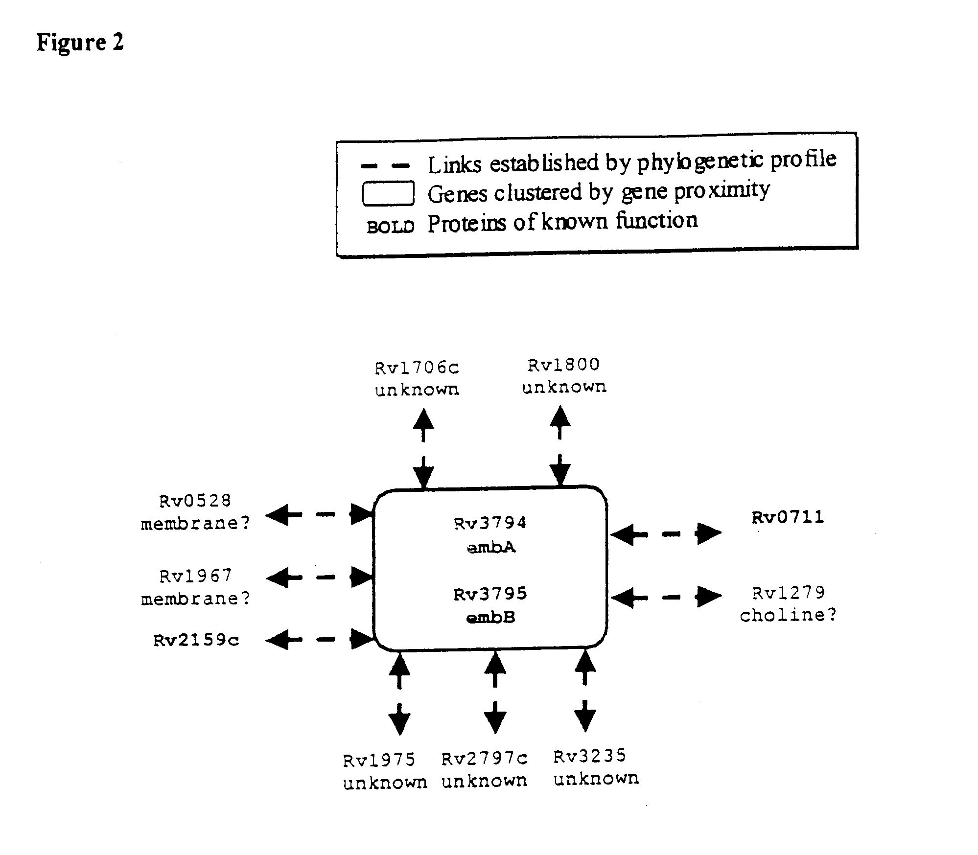 Determining the functions and interactions of proteins by comparative analysis