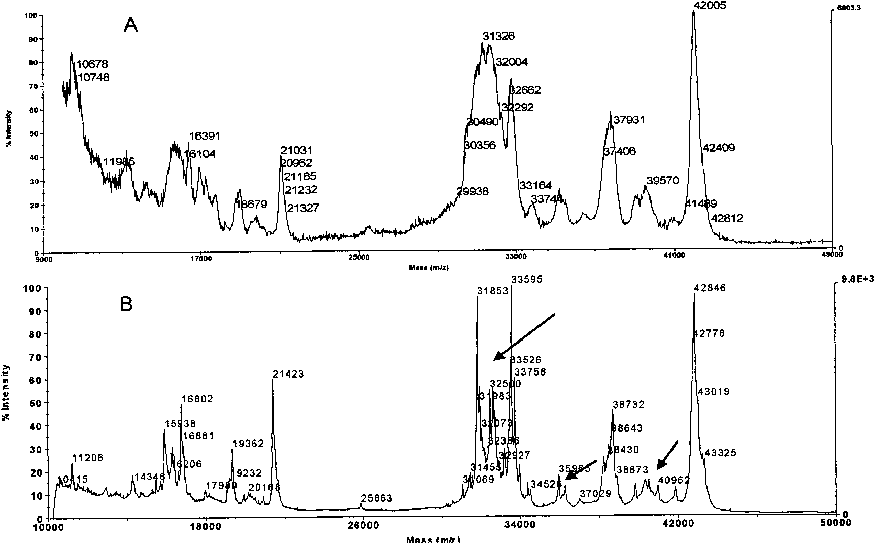 Mass spectrometry method for identifying low molecular weight glutenin subunit allelic variation