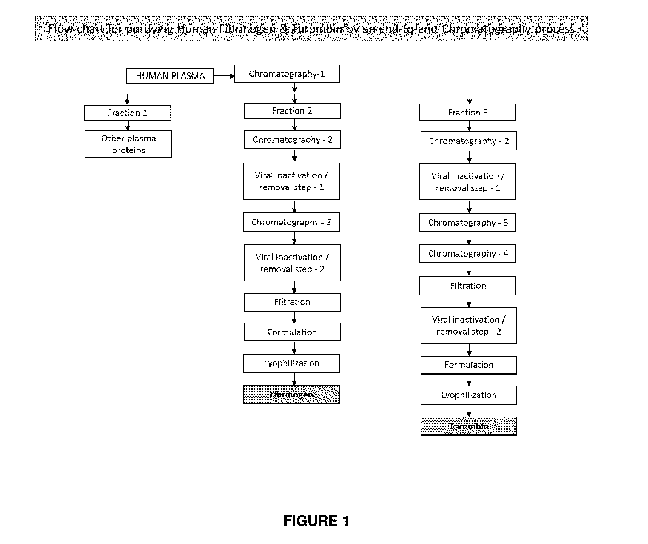 Process for producing high purity fibrinogen and thrombin for fibrin sealant