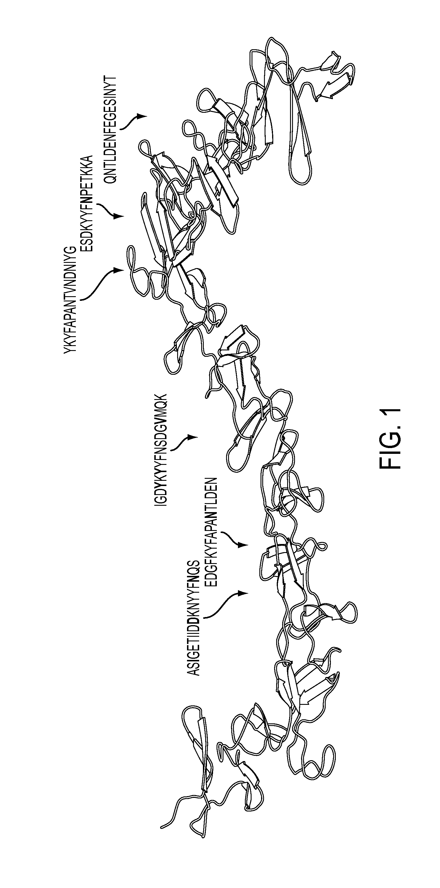 Anti-c.difficile toxin antibodies and associated methods