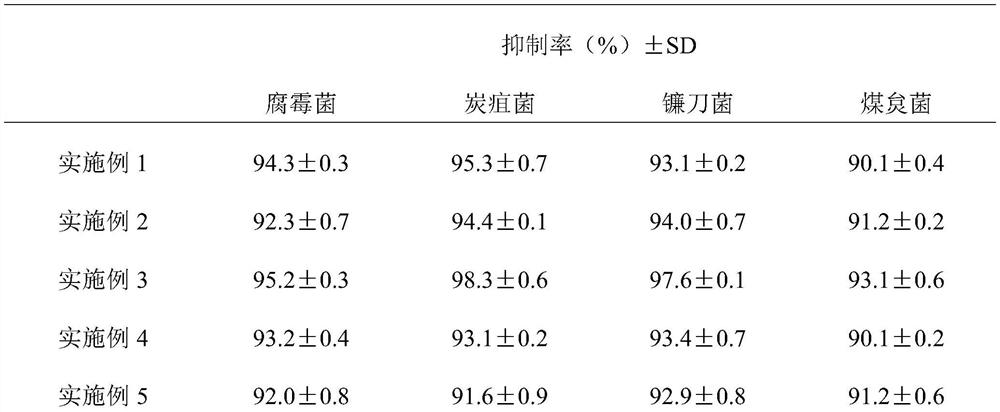 Morinda citrifolia sterilization preparation and preparation method thereof