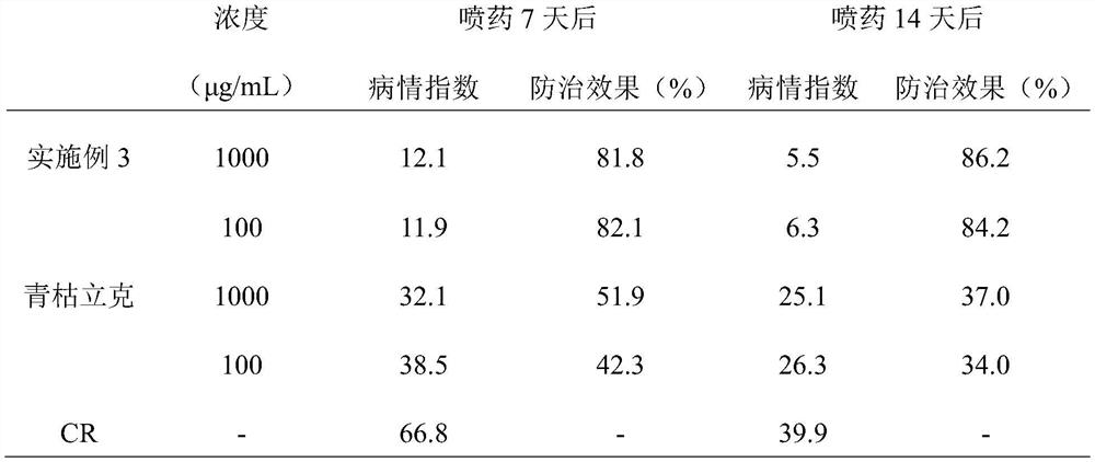 Morinda citrifolia sterilization preparation and preparation method thereof