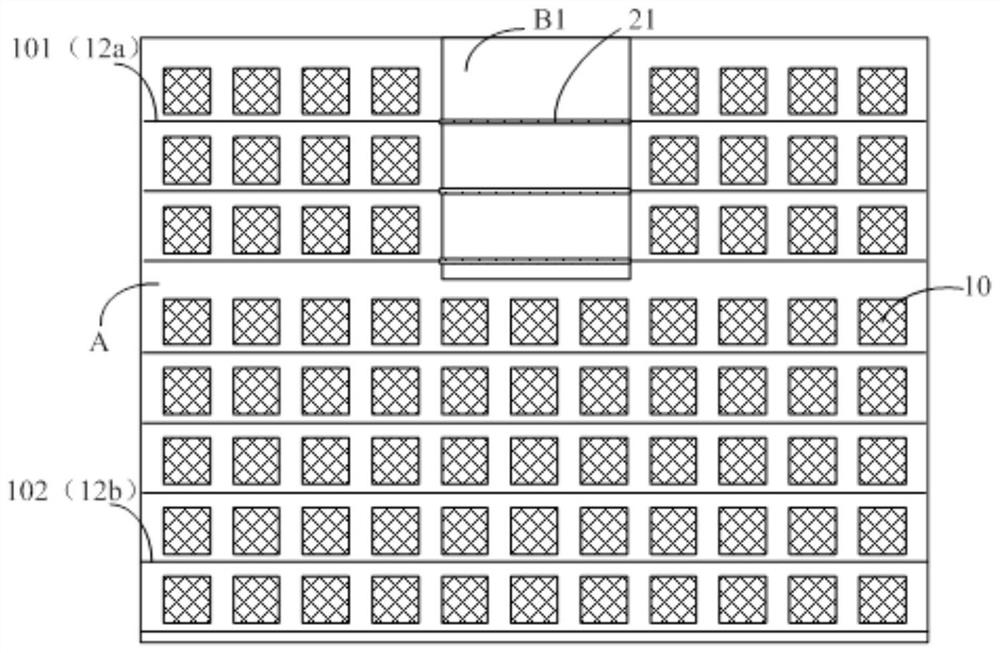 An organic light emitting display panel and an organic light emitting display device