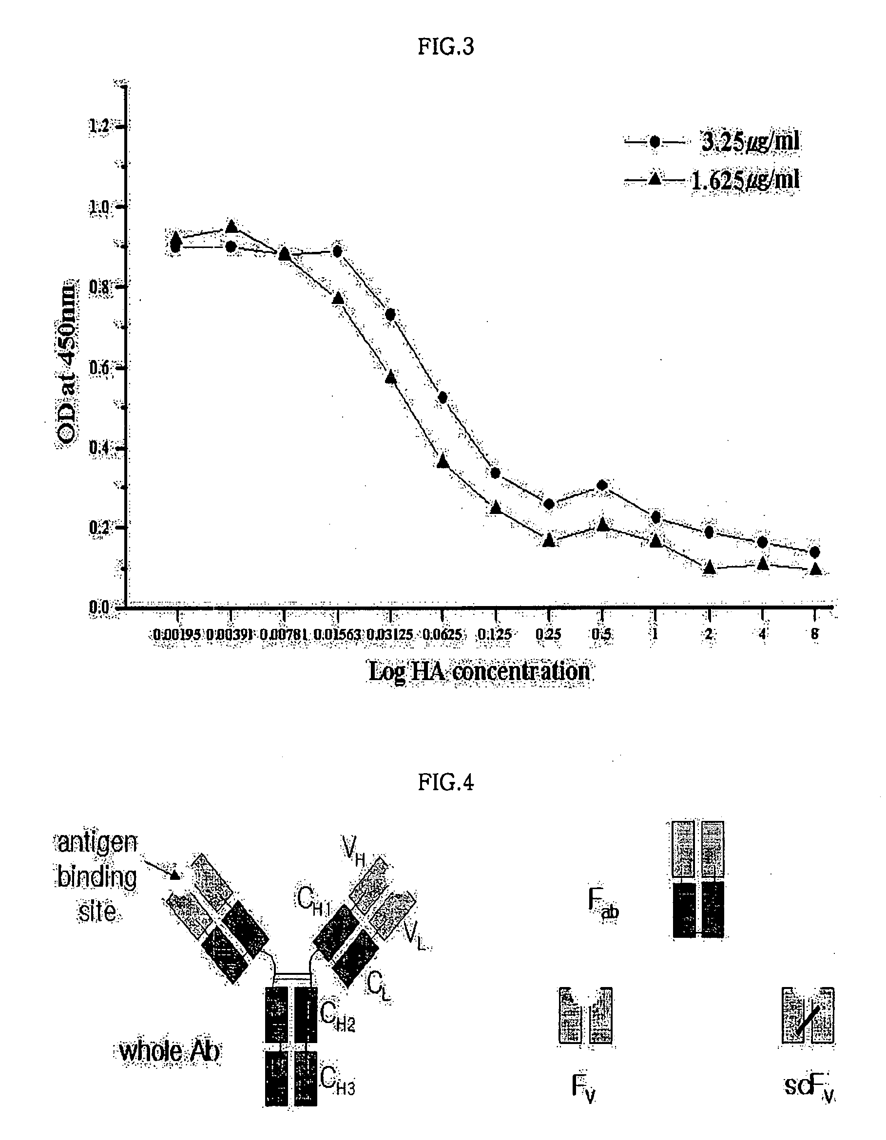 Monoclonal antibody for hippuric acid antigen