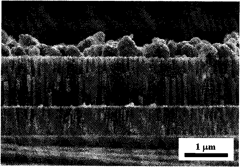 Copper-indium-selenium nanowire array and preparation method and application thereof