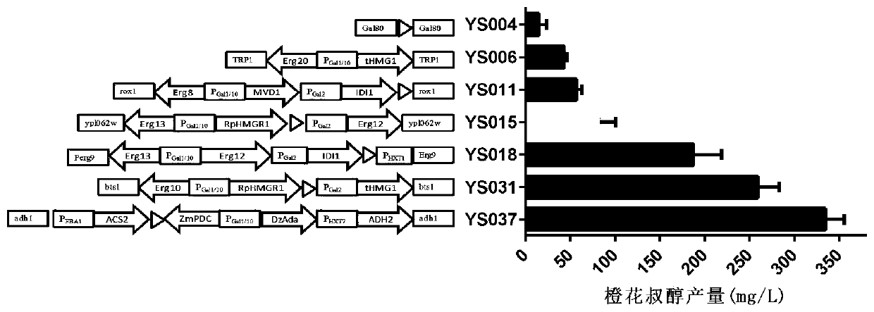 Method for increasing nerolidol yield of saccharomyces cerevisiae