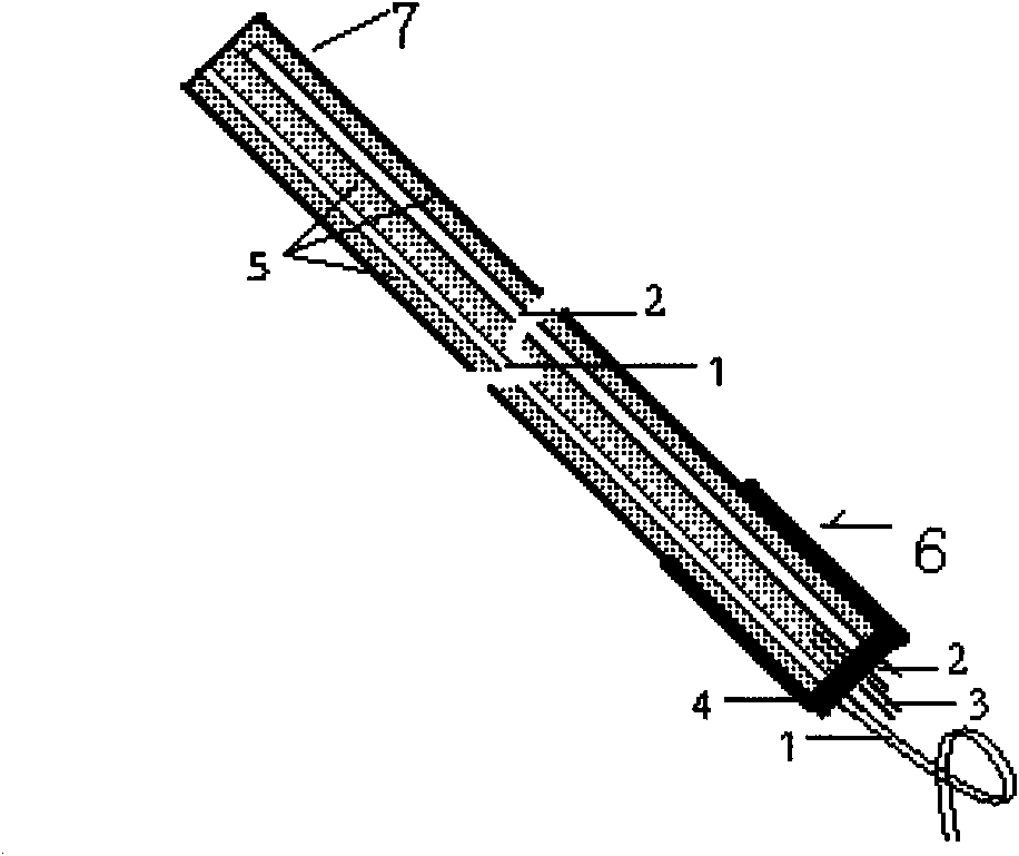 Comprehensive underground test method for deformation and damage of terranes of mining top plate and mining bottom plate of coal bed