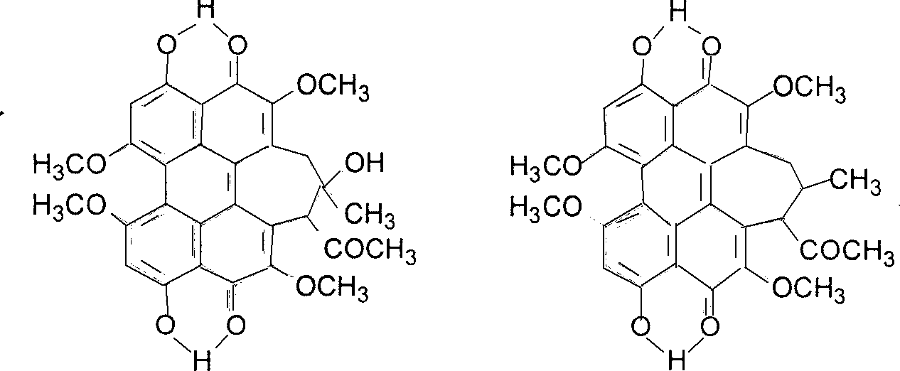 Microemulsion of hypocrellin, and its preparing method