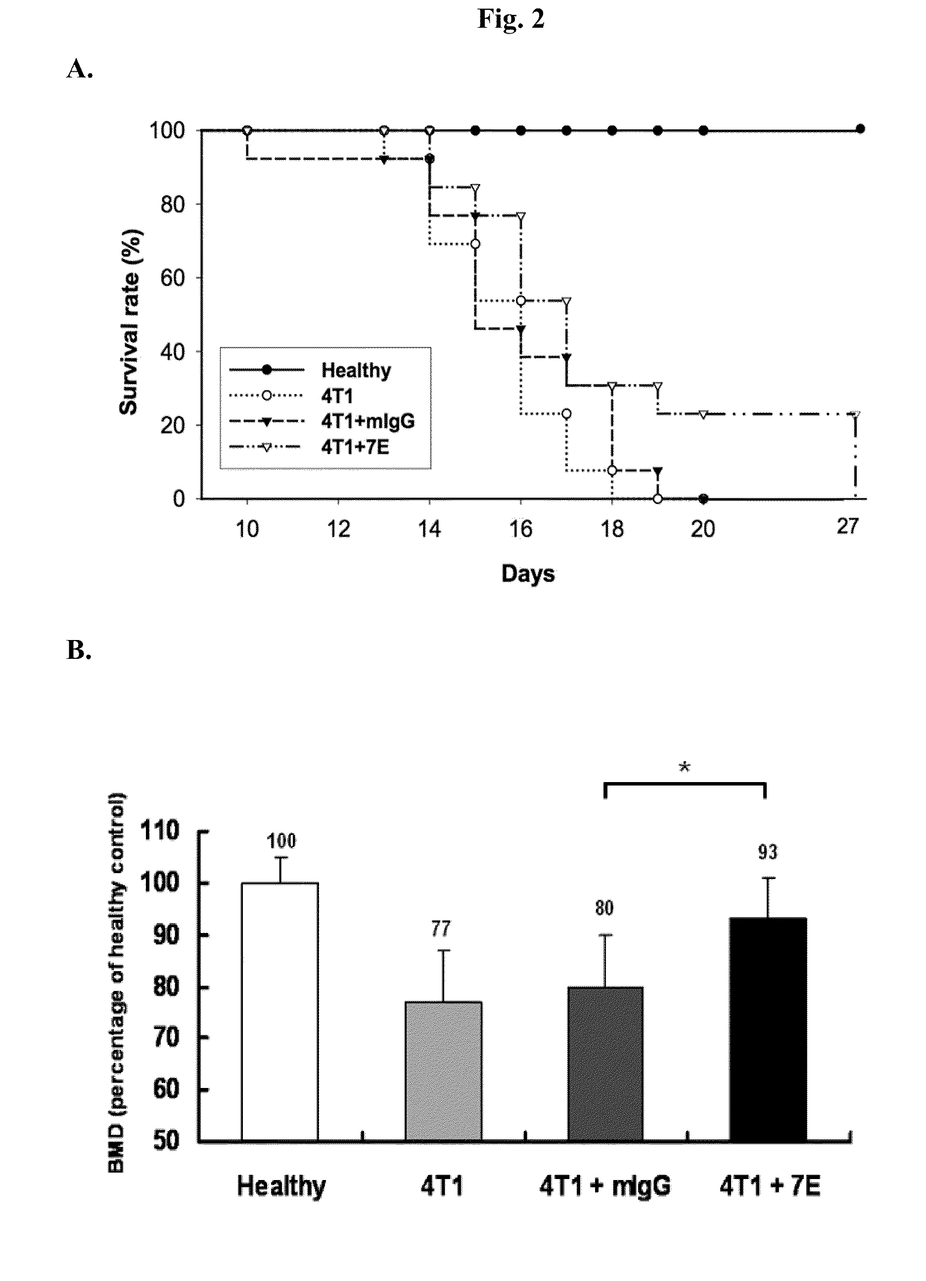 Treating Breast Cancer and Inhibiting Cancer-Associated Bone loss with Anti-IL-20 Antibody