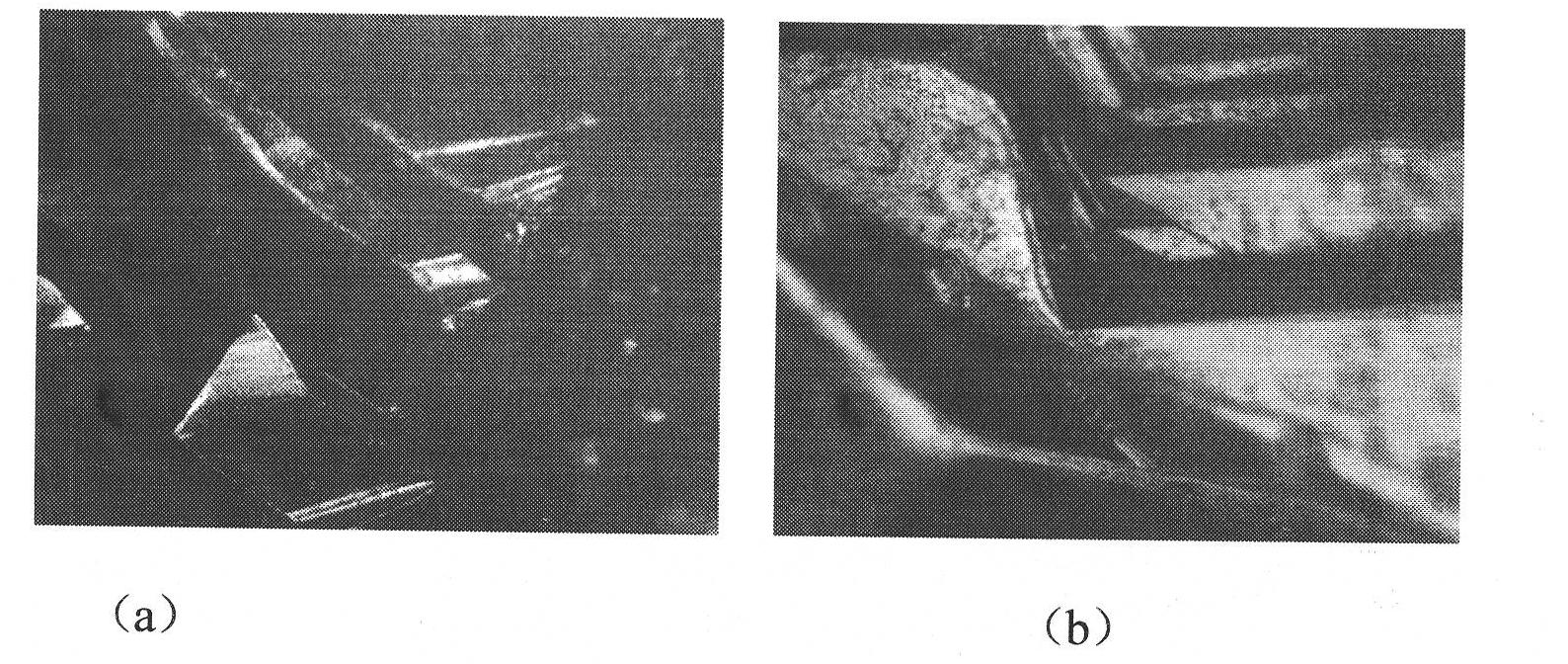 Preparation method of sillenite bismuth silicate microcrystal