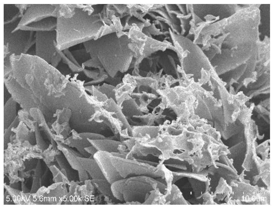 Preparation method of gel emulsion and low-density fluorescent porous metal complex material prepared by templating gel emulsion