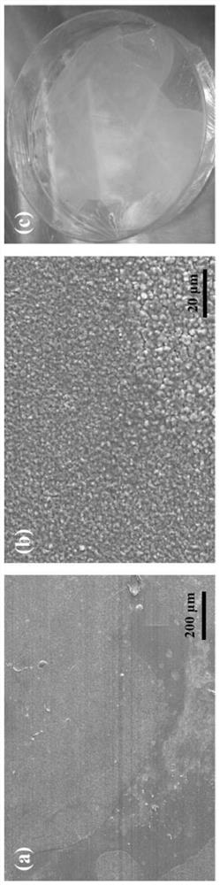 Preparation method of all-solid-state lithium-air battery cathode