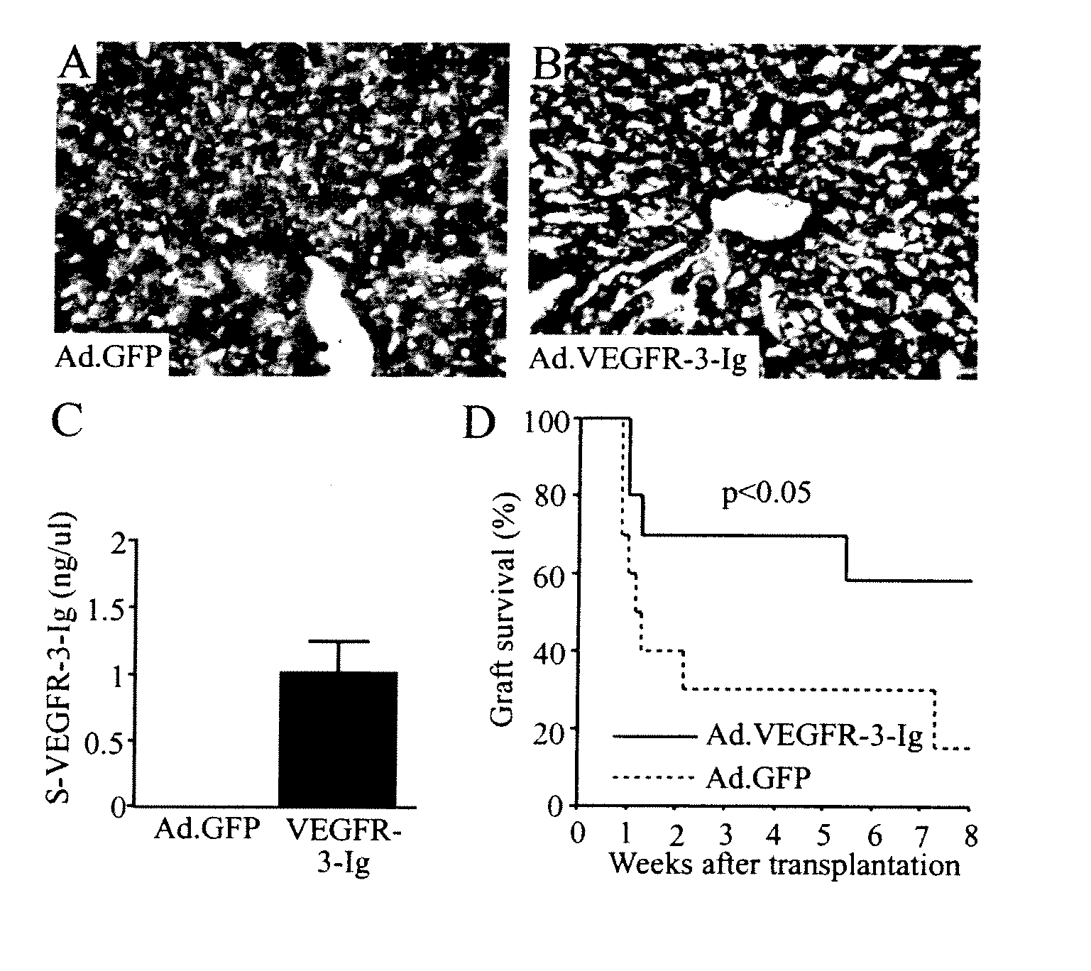 Growth factor antagonists for organ transplant alloimmunity and arteriosclerosis