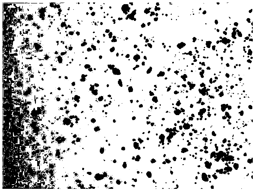 Verapamil hydrochloride sustained release microsphere and preparation method thereof