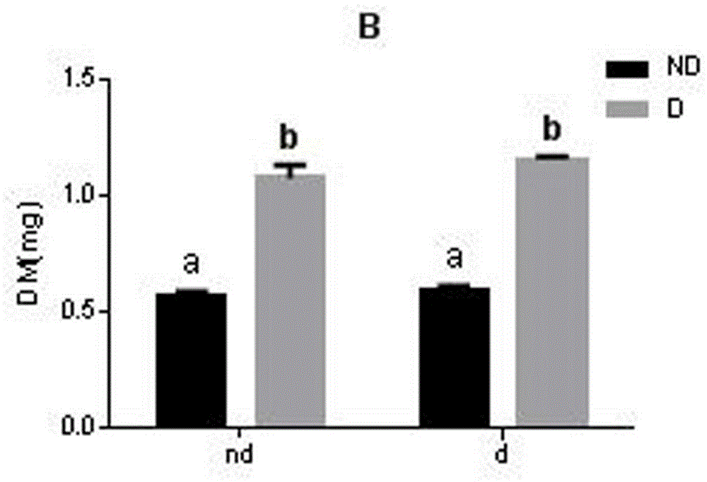 Method for improving cold resistance of nasonia vitripennis