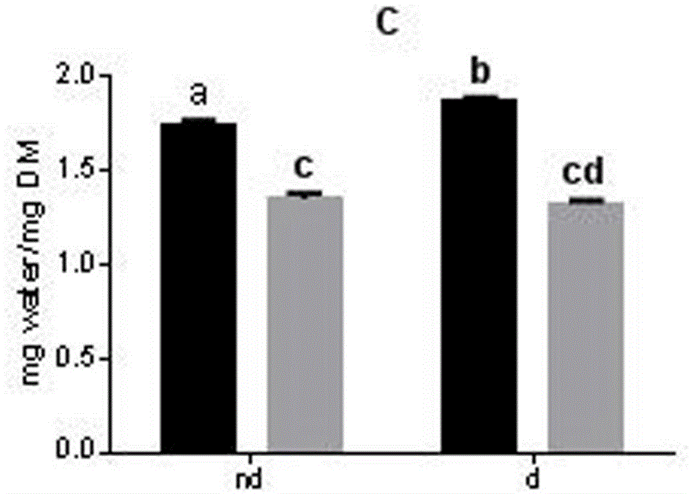 Method for improving cold resistance of nasonia vitripennis