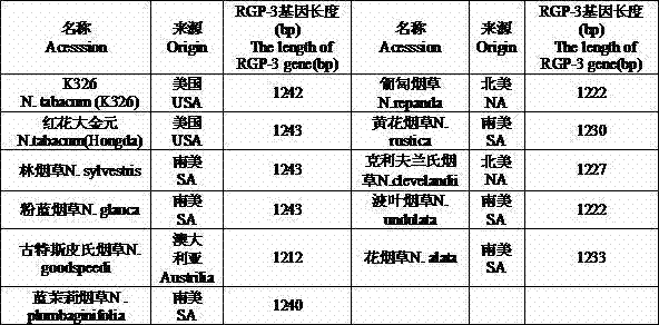 Method for quickly identifying 11 tobacco types by utilizing RGP-3 specific molecular marker