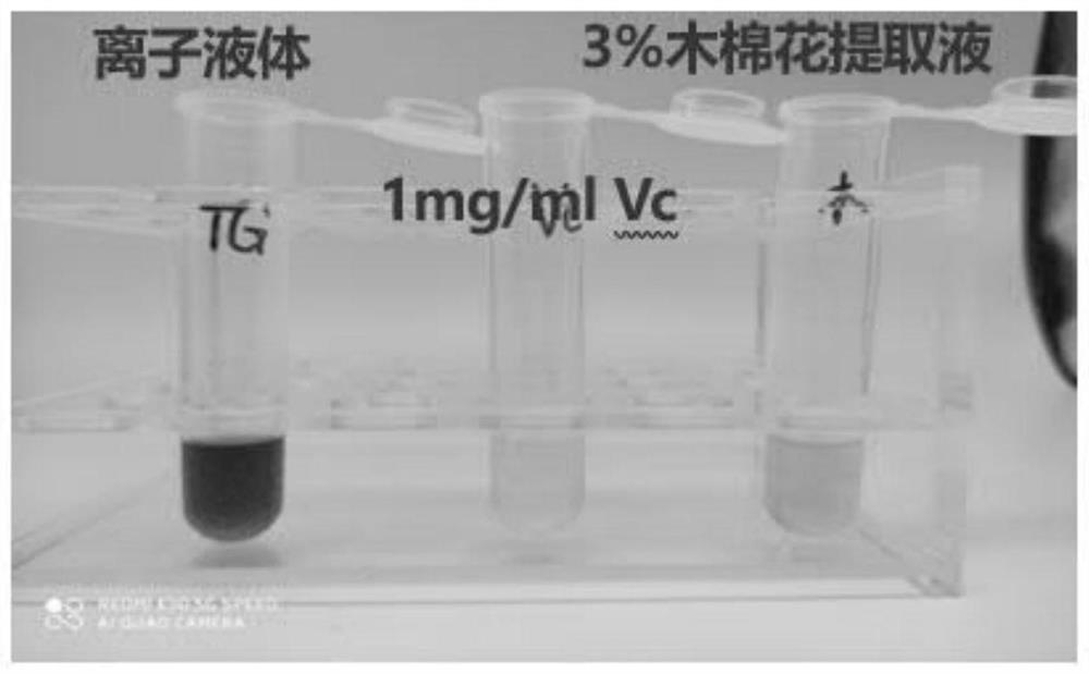 Kapok extract as well as preparation method and application thereof