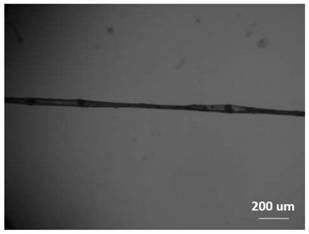 A spider silk-like polymer fiber and its preparation method