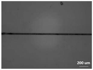 A spider silk-like polymer fiber and its preparation method