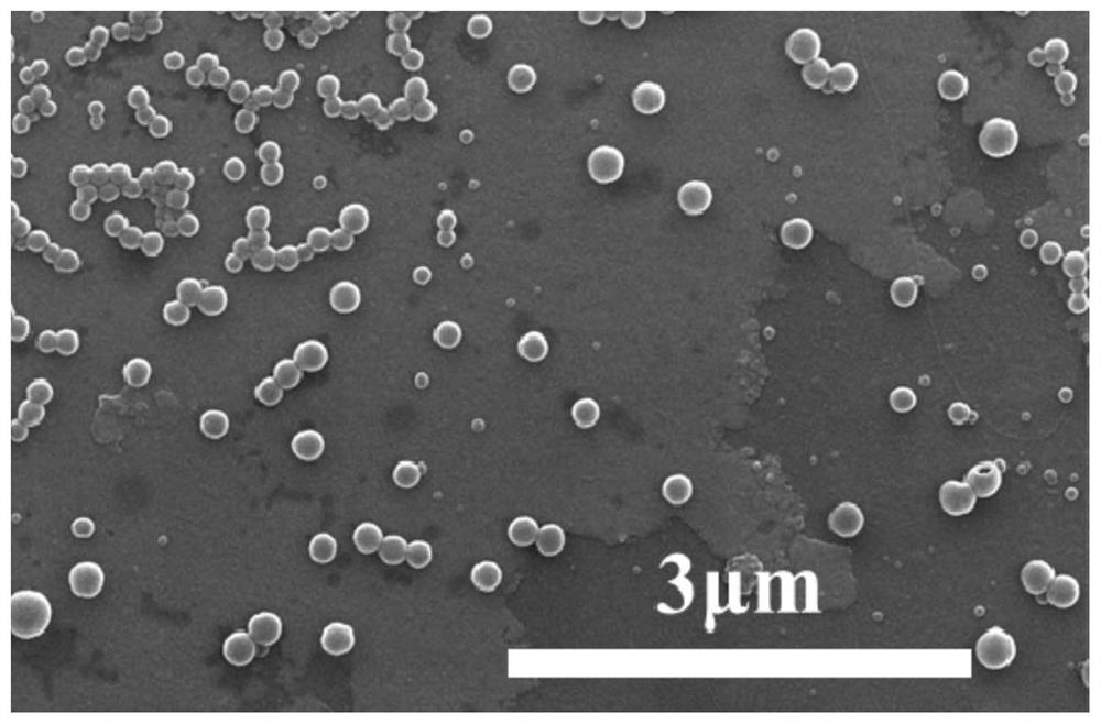 Preparation method of lignin nano microspheres