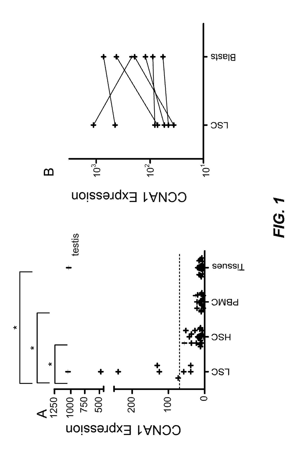 Cyclin A1-targeted T-cell immunotherapy for cancer