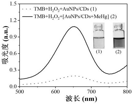 Method for detecting methyl mercury based on gold nano-enzyme peroxidase