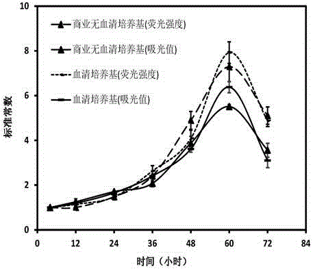 Method for detecting CHO cell proliferation by using optical analysis and application thereof