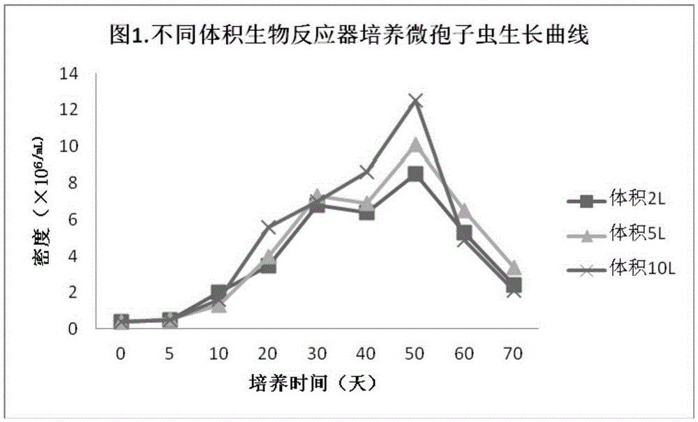 Locust microsporidia, suspension culture method and applications thereof