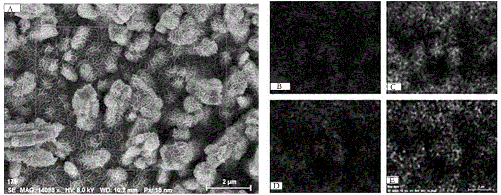 Preparation method for WO3-LDH composite film for photoelectrocatalytic water decomposition