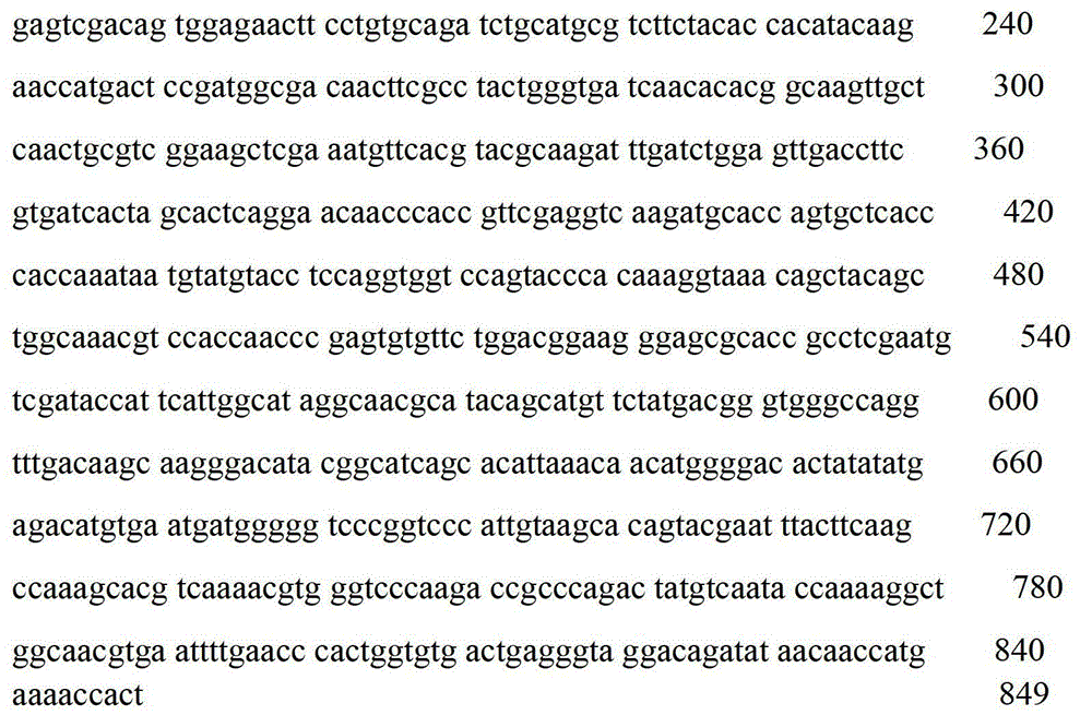 Swine vesicular disease virus viral protein 1 (VP1) protein secretion expression recombinant plasmid and application thereof